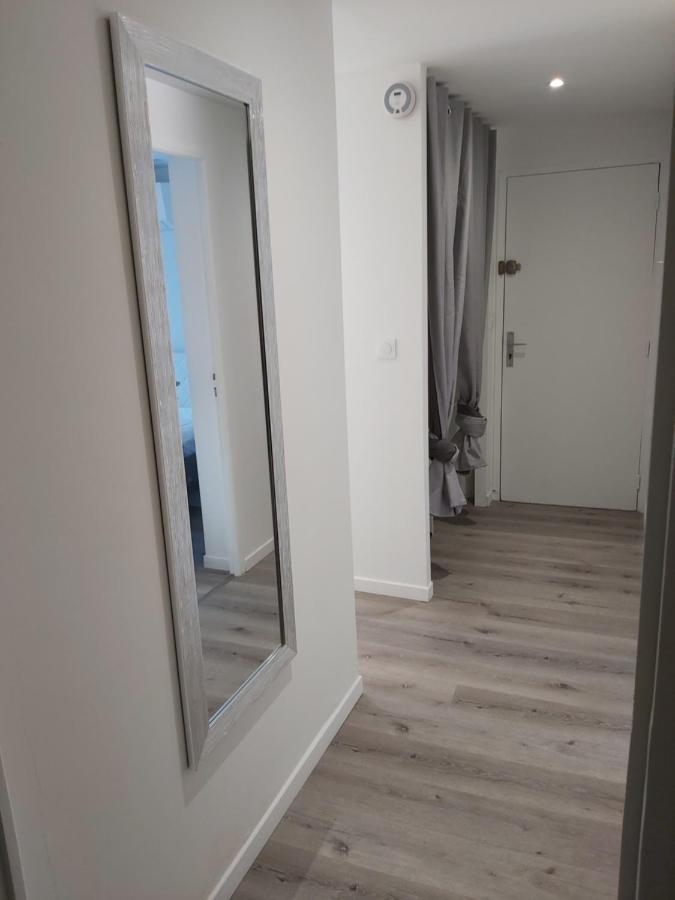 Grand T3 Piscine, Garage Centre Port Apartman Agde Kültér fotó