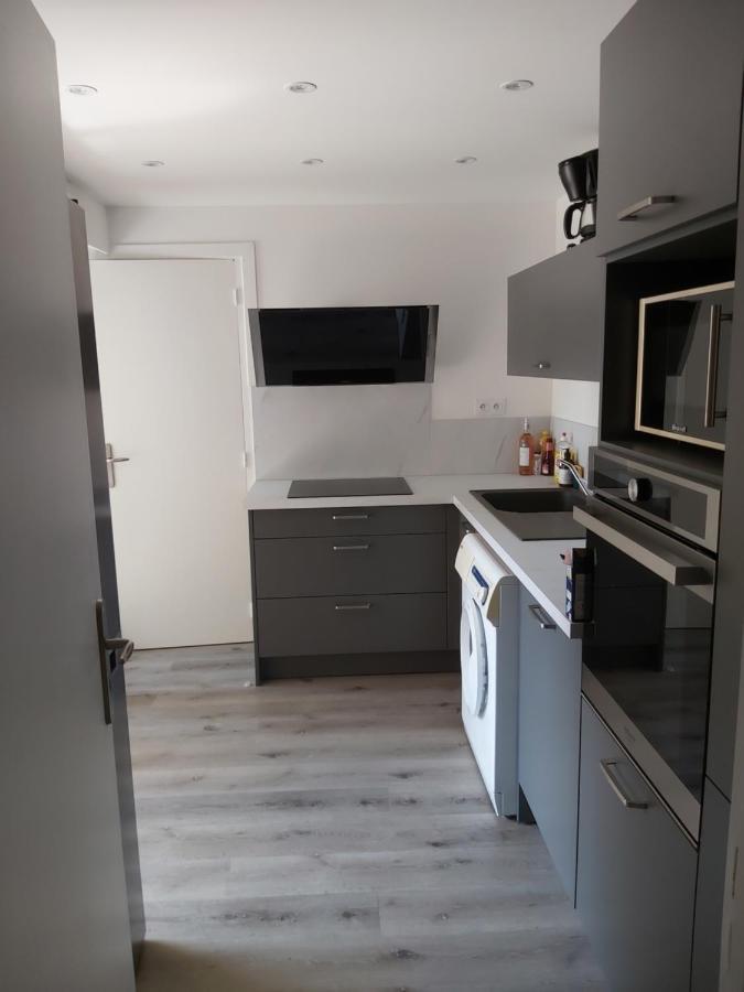 Grand T3 Piscine, Garage Centre Port Apartman Agde Kültér fotó